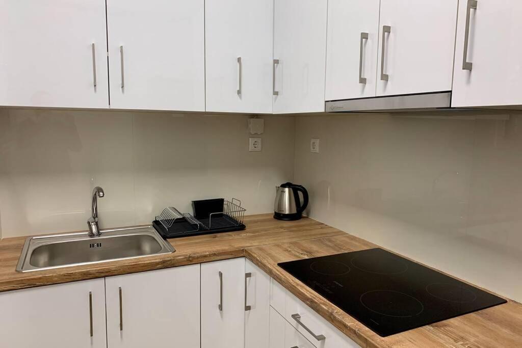 Kallimarmaro 2-Bedroom Apartment アテネ エクステリア 写真